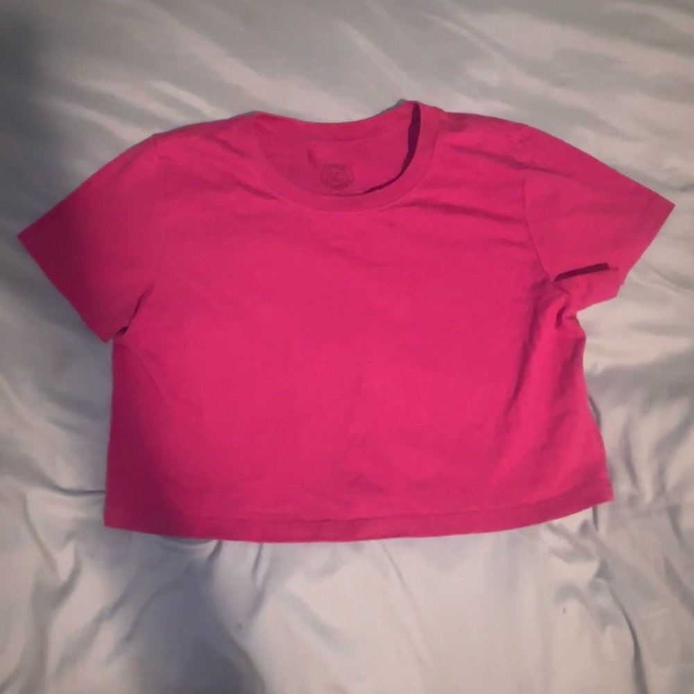 Urban Outfitters Pink Crop Top